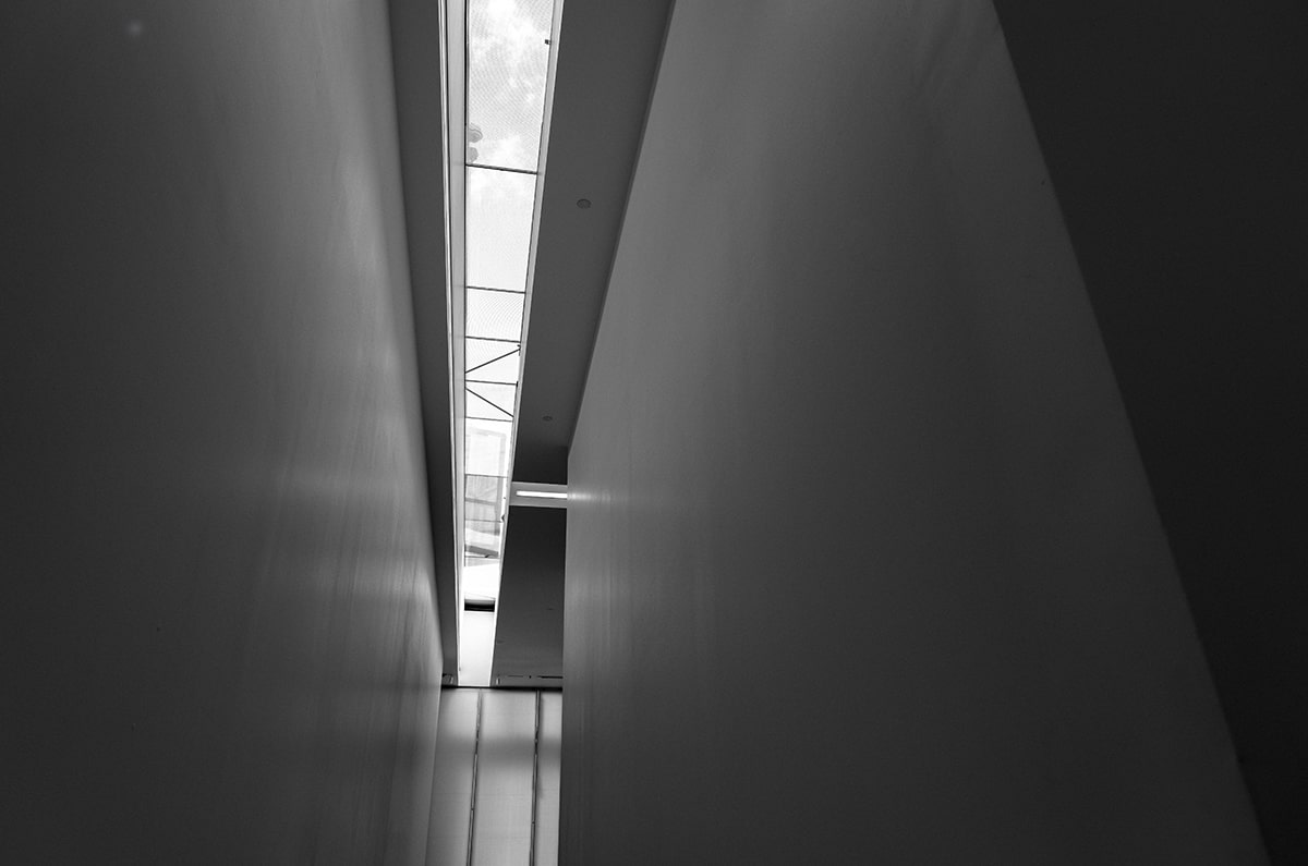 【题干】5.  请在下面括号里分别填充一个恰当的字，并解释这